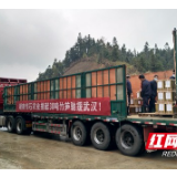 桃江马迹塘30吨竹笋驰援武汉 捐赠“火神山”“雷神山”医院