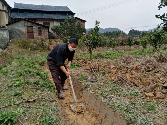 紅網時刻新聞通訊員唐錢林田凌也洪江區報道