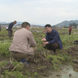 蓝山：防疫情助春耕 科技服务行走在田间地里