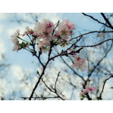 潇湘家书｜我们无愧地捍卫了你的美丽……