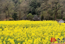 通道：侗寨“山水银行”春意浓