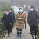 省农科院茶叶所科技特派员深入田间地头“传经送宝”