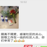 居家隔离的长沙市民收到非洲菊 花语是“有毅力不畏艰难”