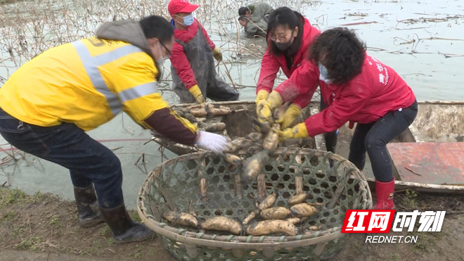 ????20203232188029.jpg ????20203232188029.jpg