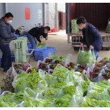 湘潭选派429名科技特派员，助力基层疫情防控、春耕备耕和复工复产