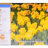 湖南午间新闻：片尾
