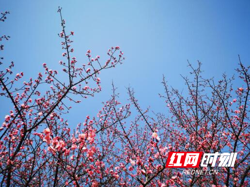QQ截图20200302143156.jpg