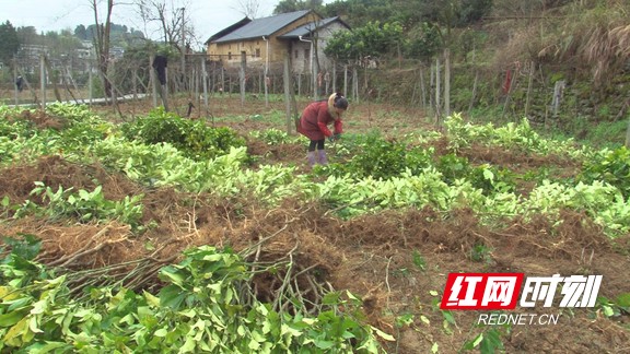 ??16.marked.jpg ??16.marked.jpg