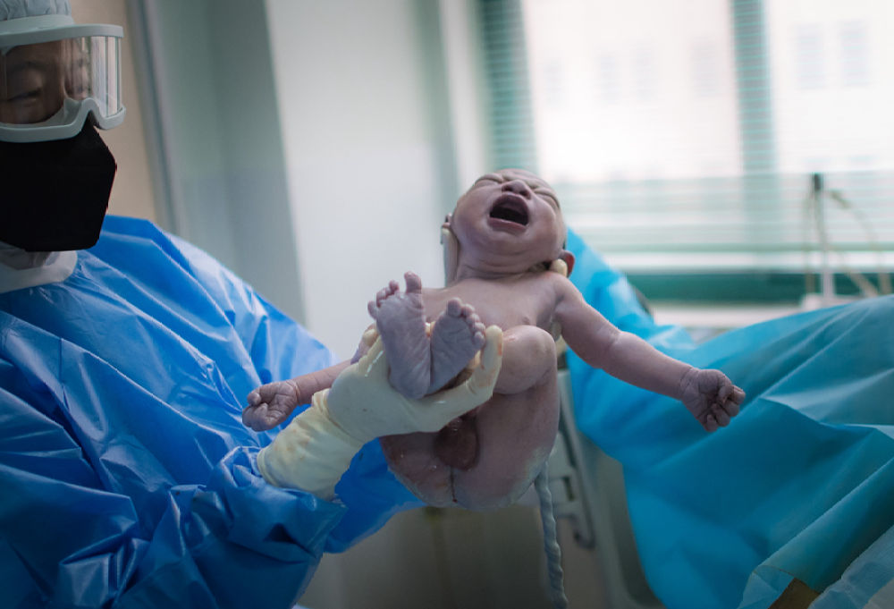 武汉:“W”车队与第23个新生命