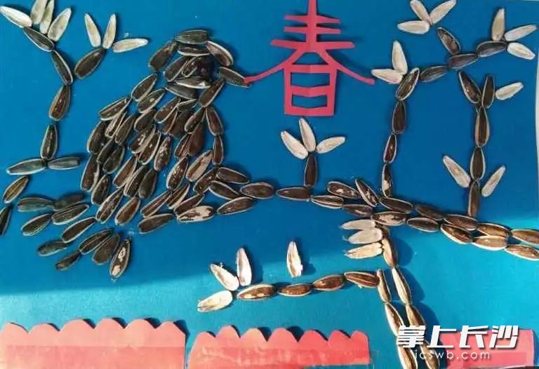天心区梨塘小学六年级学生何良杰在上完“果壳巧变”公益课后，在妈妈的帮助下用瓜子壳摆出了一副春景图。