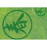 【郴州日报4版】春天来了，万亩油菜花开了