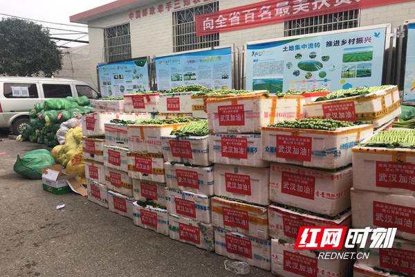 即将送往武汉的蔬菜.jpg 即将送往武汉的蔬菜.jpg