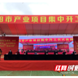 衡南县12个重点产业项目集中开工