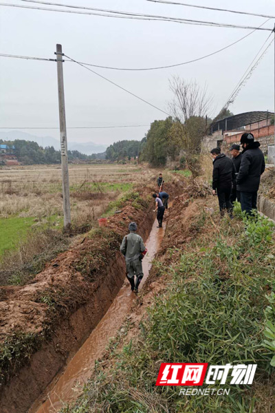 志愿者们正在进行沟渠修复.jpg 志愿者们正在进行沟渠修复.jpg