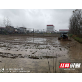 鼎城郭家铺街道：疫情防控不松劲  农业生产不掉队