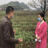 江永：王小丽调研上江圩农田水利建设