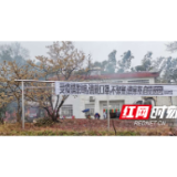 汉寿县崔家桥镇：一条横幅守护一方平安