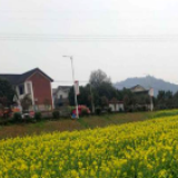 田间地头农事忙 跑出春耕备耕“加速度”