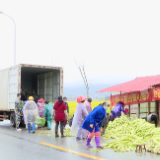 【防疫复工两手抓】电商助力农产品销售 