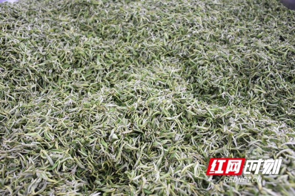 1583223127438.jpg 1583223127438.jpg