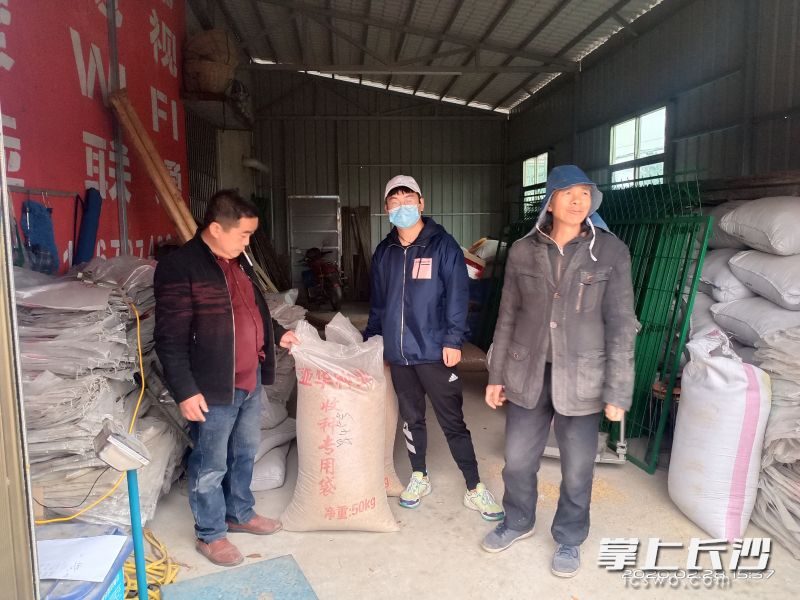 湖南农业大学农学院研究生祝海竣协助村委发放早稻种子。