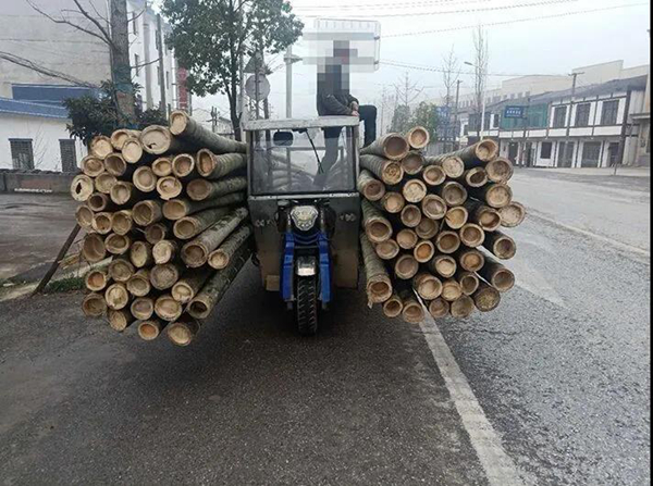 ????_20200304171025.jpg