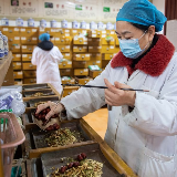 新华社|湖南株洲：中药应用助力疫情防控