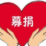 冷水滩区杨村甸乡：涓涓细流汇成大海 广大党员踊跃捐款抗击疫情