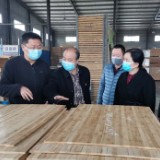 【防疫复工两手抓】王友文督查企业复工复产和疫情防控工作