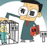 明知不可为而为之，判刑罚金终后悔