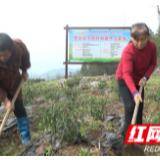 慈利：扶贫车间复工 助力脱贫攻坚