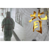 给《背》一束聚光：文艺战疫有力量！