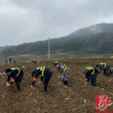 东安：学雷锋战疫情 民兵队伍站排头