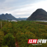 回龙圩:一手抓疫情防控 一手抓经济发展
