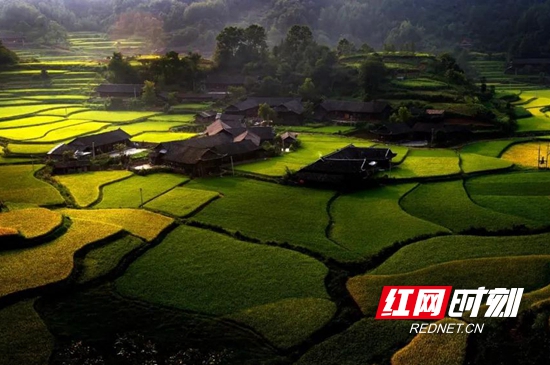 永定區(qū)王家坪鎮(zhèn)石堰坪村.jpg