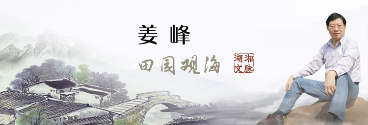 750x256.jpg