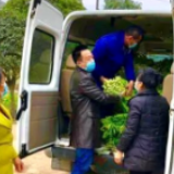 点赞！刚结束居家隔离扶贫干部即上门帮农户销售滞销蔬菜