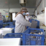 冷水滩：扶贫车间复工复产达100%   帮助贫困户家门口就业