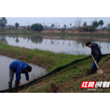 桃源县剪市镇：防疫不误农时 奏响春天“交响曲”