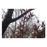 战“疫”日记：冬天从这里夺去的，春天会交还