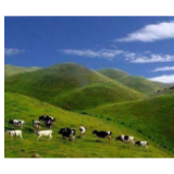 好消息！南山风景名胜区恢复开放！春光处处美，口罩不能忘...