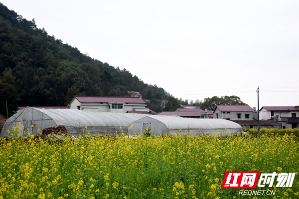 DSC_9754_副本.jpg