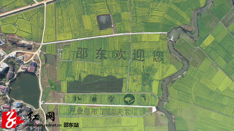 ????_20200306110205_??.jpg