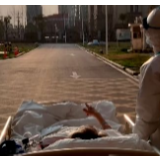 这张“2020最治愈的照片”，主人公找到了...