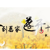 视频 | 春到葛家 花开十里