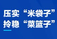 惠企策④丨财政奖补“对症下药”，将“撑企”进行到底