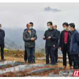 虢正贵赴永定区调研脱贫攻坚、春耕备耕和景区开放运营工作