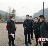 郑小胡调研G241公路项目推进情况
