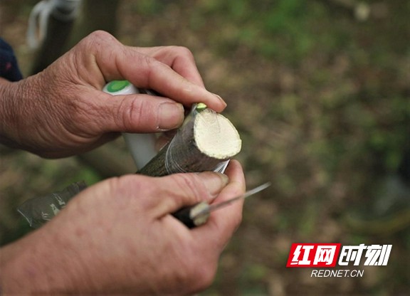 70cec8d7-e500-4077-9e7d-38fa4d51eb15.marked.jpg