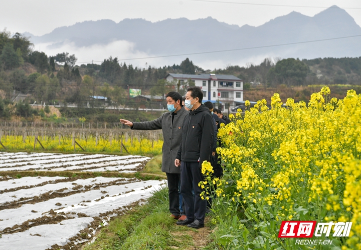 微信图片_20200307192202_副本.jpg
